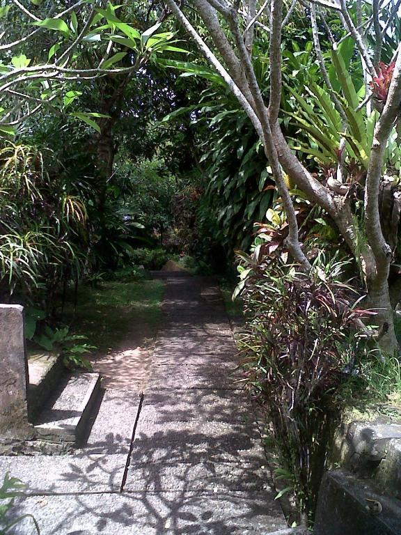 Arjana Bungalows 2 Ubud Eksteriør bilde