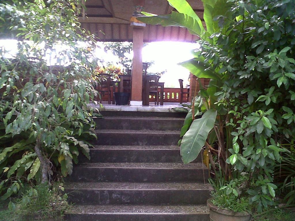 Arjana Bungalows 2 Ubud Eksteriør bilde